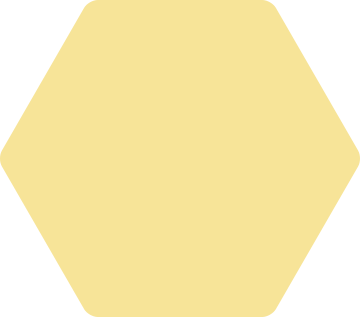 hexagon vis vis
